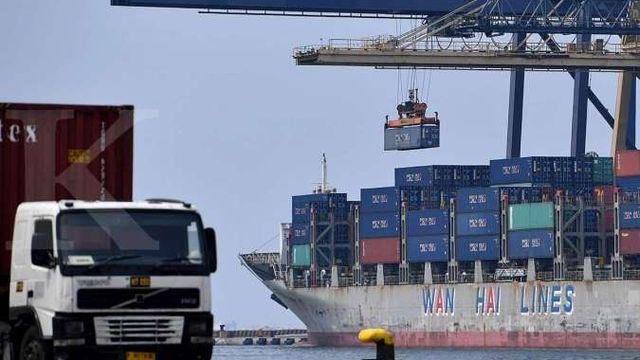 Bulk Supply & Export